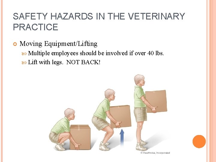 SAFETY HAZARDS IN THE VETERINARY PRACTICE Moving Equipment/Lifting Multiple employees should be involved if