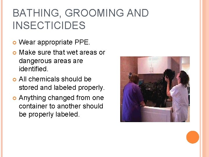 BATHING, GROOMING AND INSECTICIDES Wear appropriate PPE. Make sure that wet areas or dangerous