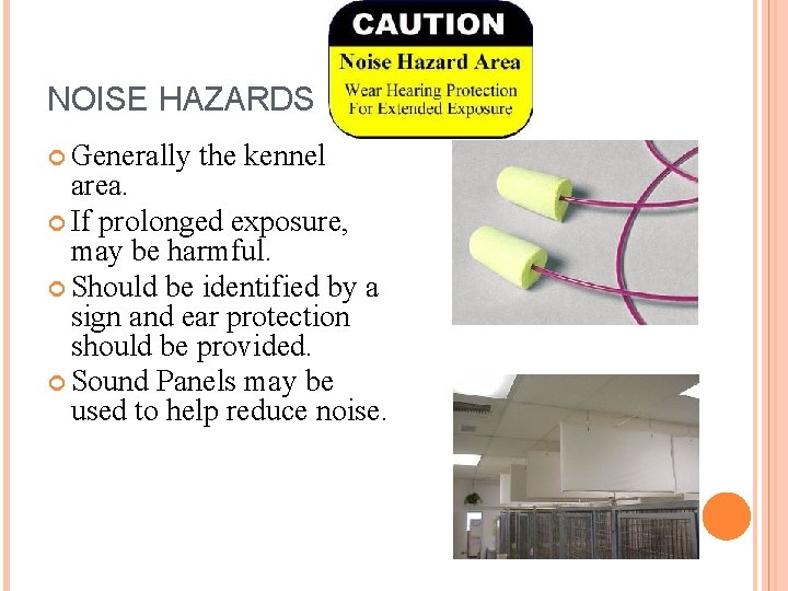 NOISE HAZARDS Generally the kennel area. If prolonged exposure, may be harmful. Should be