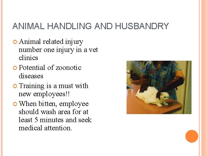 ANIMAL HANDLING AND HUSBANDRY Animal related injury number one injury in a vet clinics