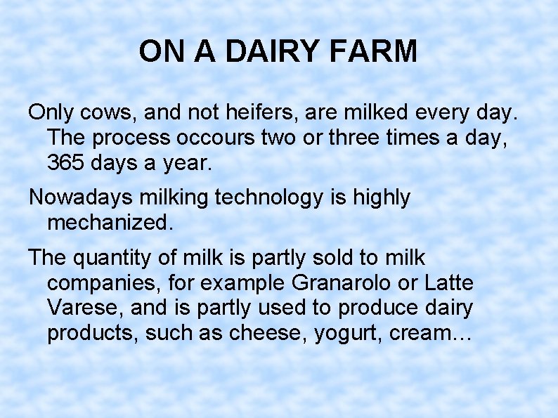 ON A DAIRY FARM Only cows, and not heifers, are milked every day. The