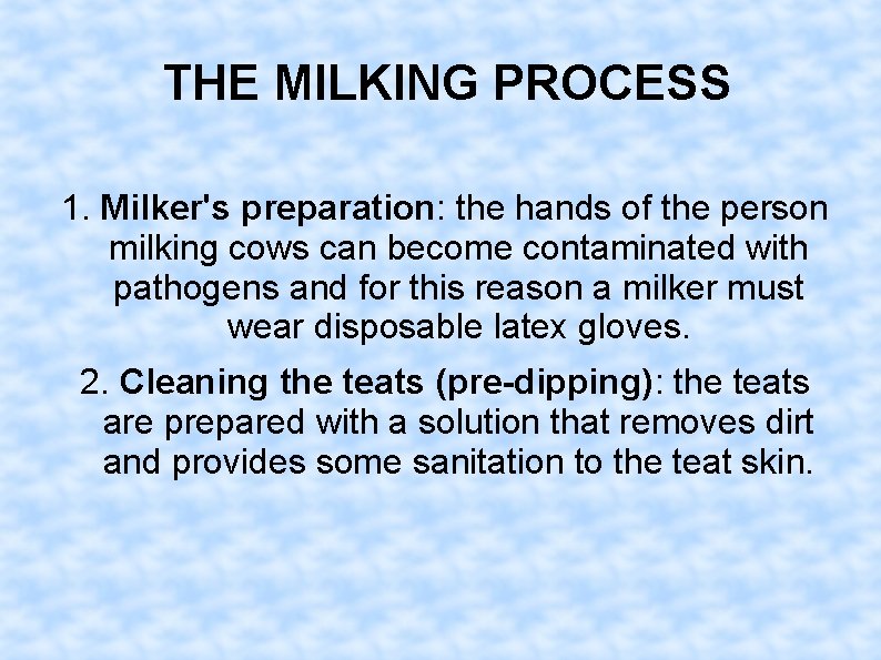 THE MILKING PROCESS 1. Milker's preparation: the hands of the person milking cows can