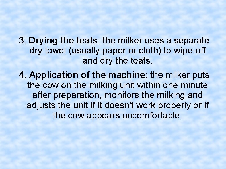 3. Drying the teats: the milker uses a separate dry towel (usually paper or