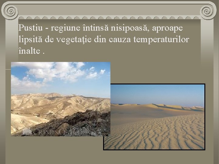 Pustiu - regiune întinsă nisipoasă, aproape lipsită de vegetație din cauza temperaturilor înalte. 