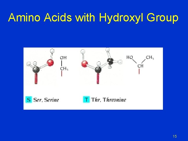 Amino Acids with Hydroxyl Group 15 Amino Acids with Hydroxyl Group 15