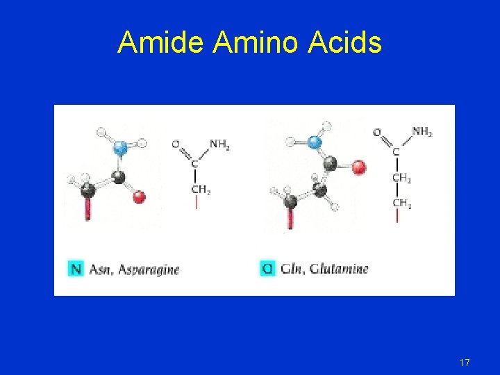 Amide Amino Acids 17 Amide Amino Acids 17