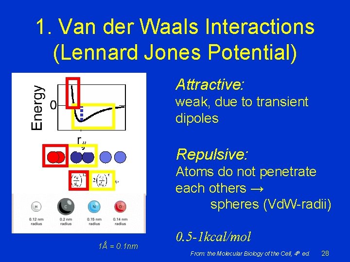 1. Van der Waals Interactions (Lennard Jones Potential) Attractive: weak, due to transient dipoles 1. Van der Waals Interactions (Lennard Jones Potential) Attractive: weak, due to transient dipoles