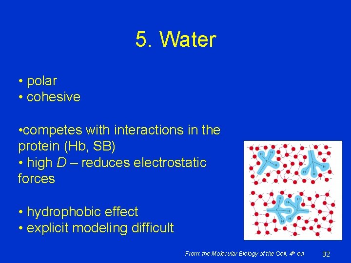 5. Water • polar • cohesive • competes with interactions in the protein (Hb, 5. Water • polar • cohesive • competes with interactions in the protein (Hb,