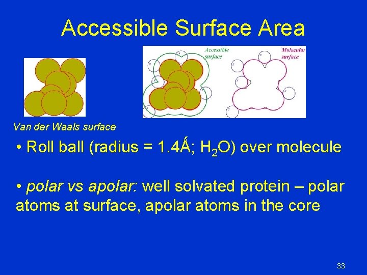Accessible Surface Area Van der Waals surface • Roll ball (radius = 1. 4Ǻ; Accessible Surface Area Van der Waals surface • Roll ball (radius = 1. 4Ǻ;