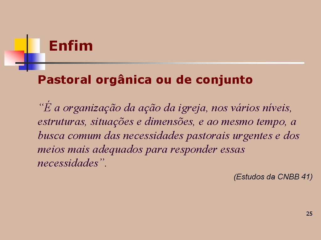 Enfim Pastoral orgânica ou de conjunto “É a organização da igreja, nos vários níveis, Enfim Pastoral orgânica ou de conjunto “É a organização da igreja, nos vários níveis,
