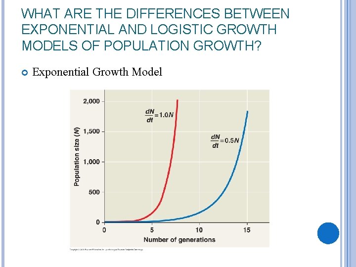 WHAT ARE THE DIFFERENCES BETWEEN EXPONENTIAL AND LOGISTIC GROWTH MODELS OF POPULATION GROWTH? Exponential