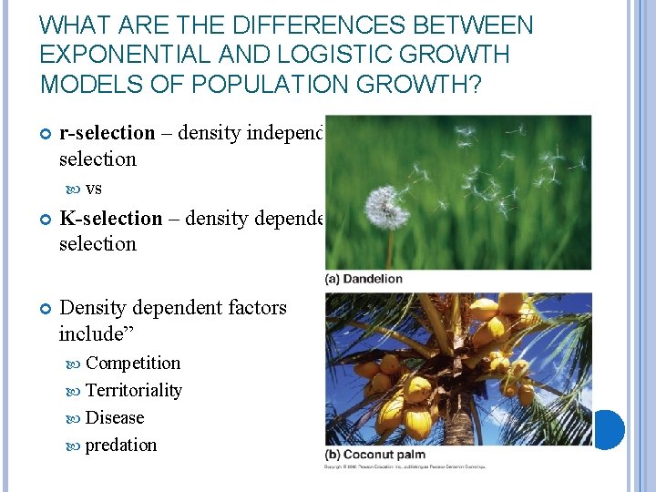 WHAT ARE THE DIFFERENCES BETWEEN EXPONENTIAL AND LOGISTIC GROWTH MODELS OF POPULATION GROWTH? r-selection