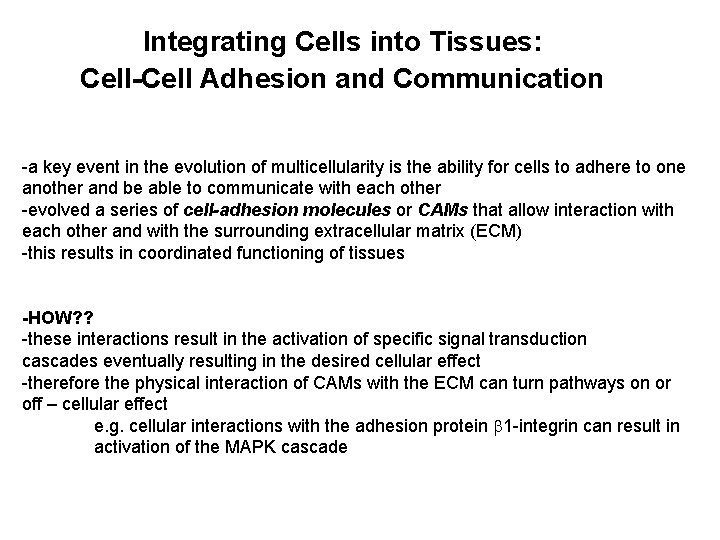 Integrating Cells into Tissues: Cell-Cell Adhesion and Communication -a key event in the evolution