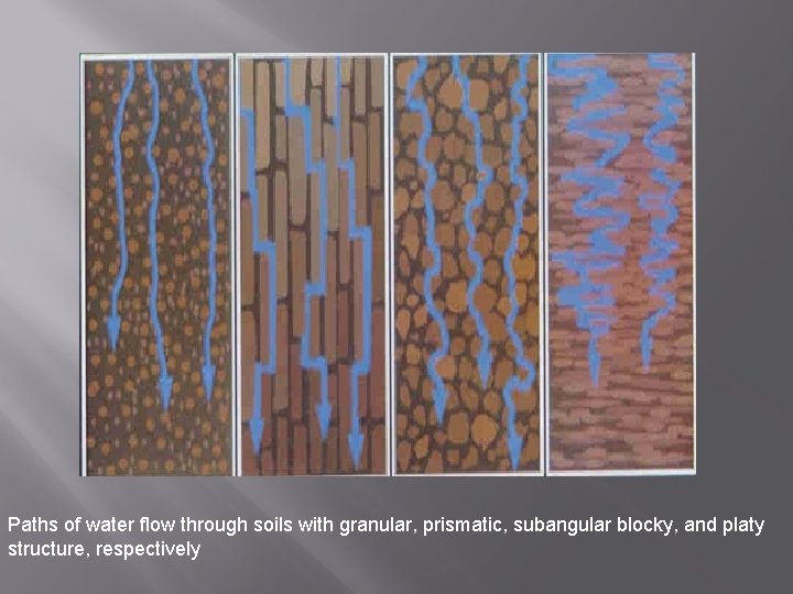 Paths of water flow through soils with granular, prismatic, subangular blocky, and platy structure,