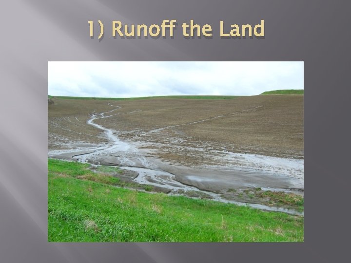 1) Runoff the Land 