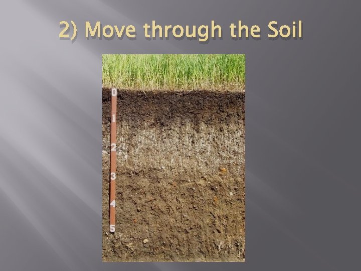 2) Move through the Soil 