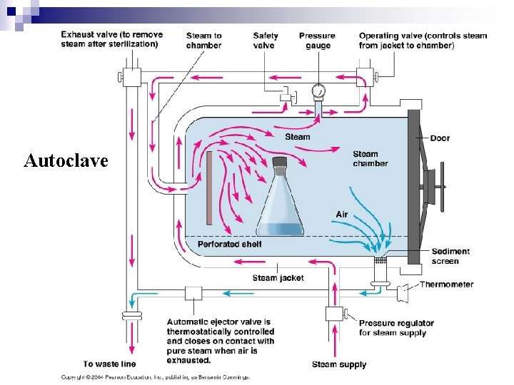 Autoclave 