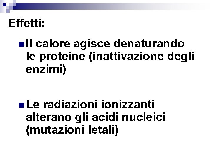 Effetti: n Il calore agisce denaturando le proteine (inattivazione degli enzimi) n Le radiazionizzanti