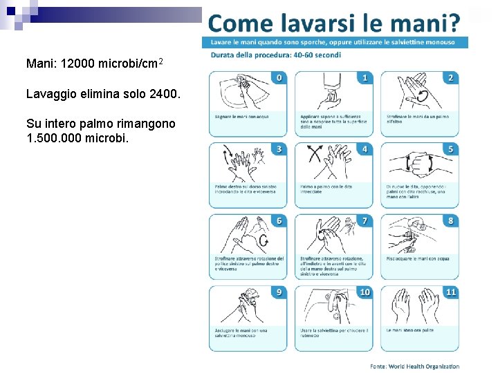 Mani: 12000 microbi/cm 2 Lavaggio elimina solo 2400. Su intero palmo rimangono 1. 500.