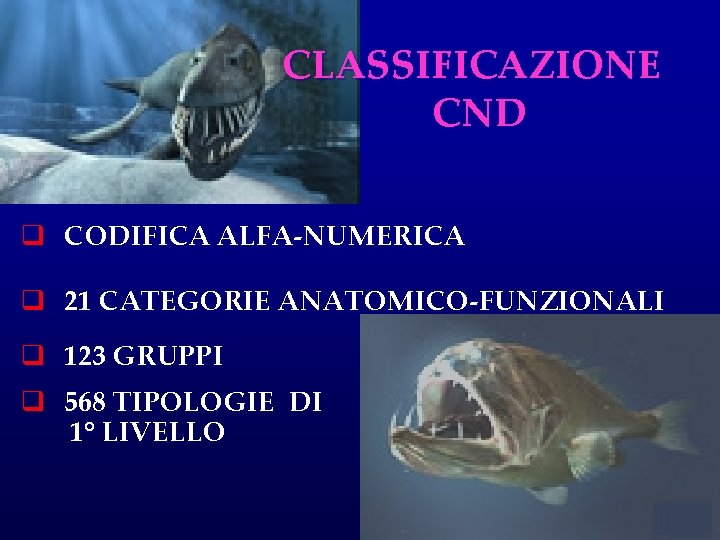 CLASSIFICAZIONE CND q CODIFICA ALFA-NUMERICA q 21 CATEGORIE ANATOMICO-FUNZIONALI q 123 GRUPPI q 568