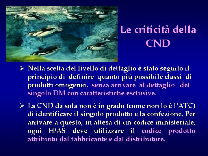 Le criticità della CND Ø Nella scelta del livello di dettaglio è stato seguito