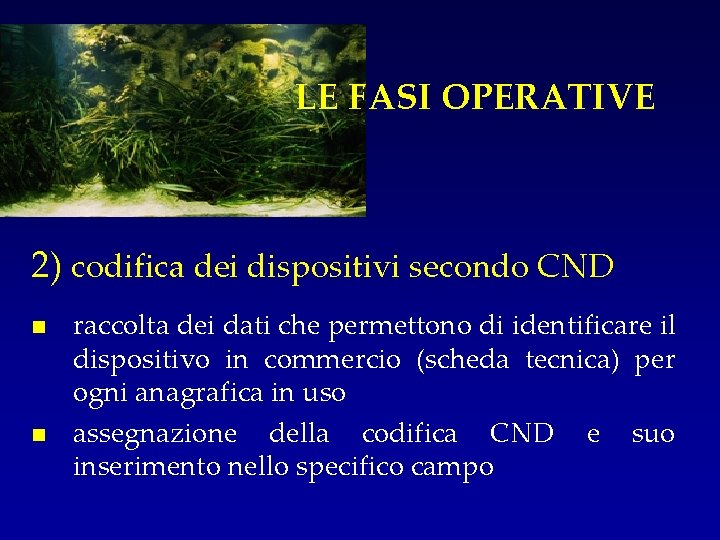 LE FASI OPERATIVE 2) codifica dei dispositivi secondo CND n n raccolta dei dati