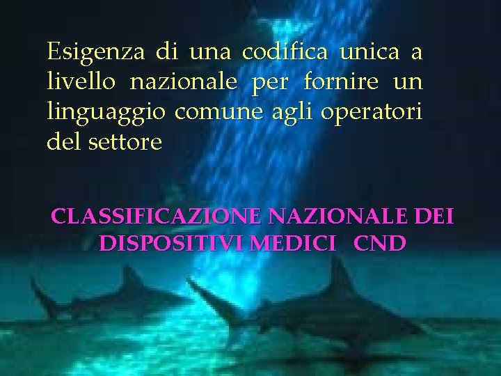 Esigenza di una codifica unica a livello nazionale per fornire un linguaggio comune agli