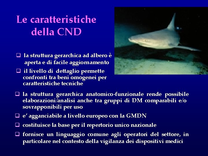 Le caratteristiche della CND q la struttura gerarchica ad albero è aperta e di