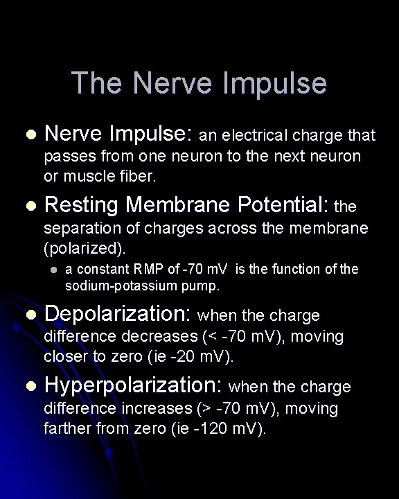 The Nerve Impulse l Nerve Impulse: an electrical charge that passes from one neuron The Nerve Impulse l Nerve Impulse: an electrical charge that passes from one neuron