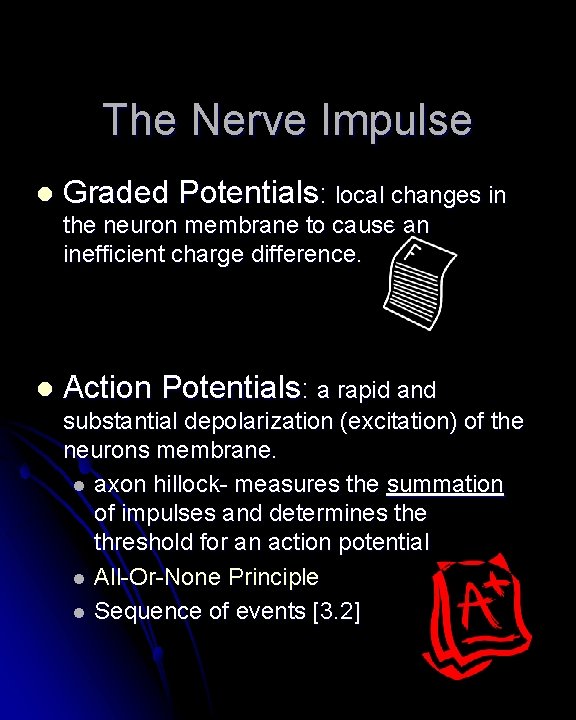 The Nerve Impulse l Graded Potentials: local changes in the neuron membrane to cause The Nerve Impulse l Graded Potentials: local changes in the neuron membrane to cause