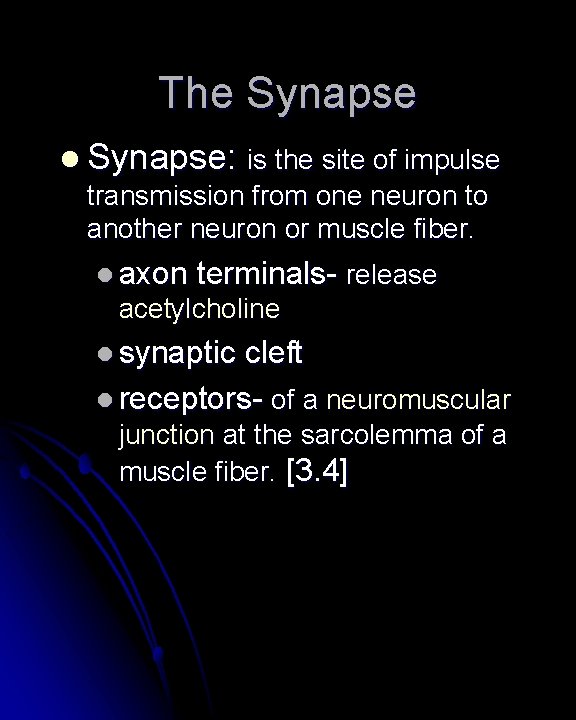 The Synapse l Synapse: is the site of impulse transmission from one neuron to The Synapse l Synapse: is the site of impulse transmission from one neuron to