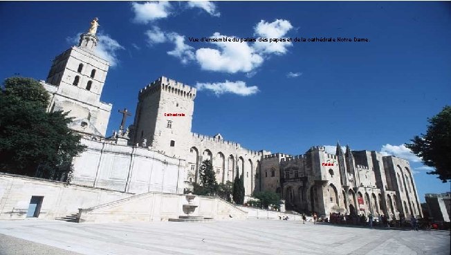 Vue d’ensemble du palais des papes et de la cathédrale Notre-Dame. Cathédrale Palais 