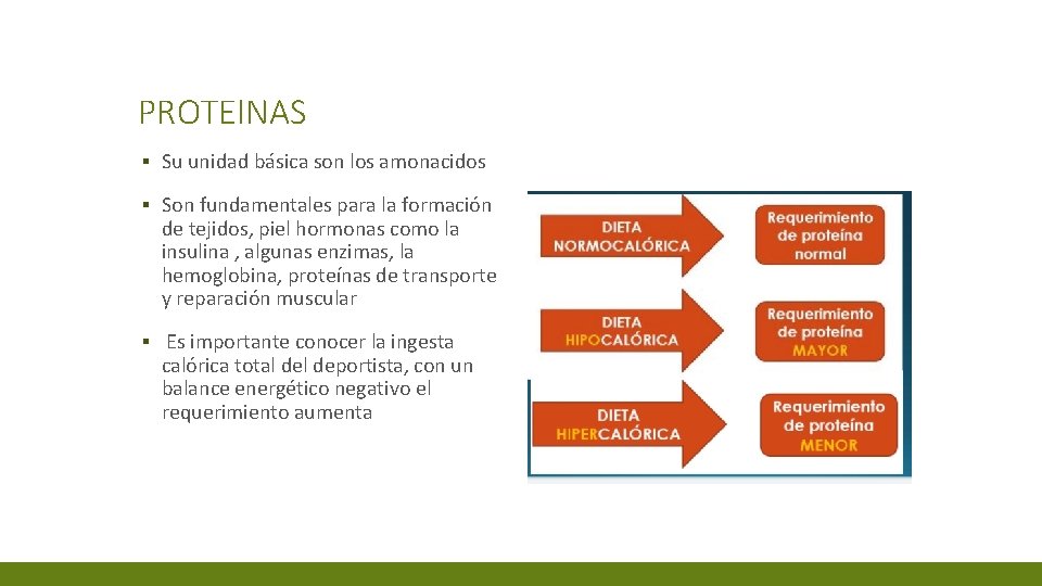 PROTEINAS ▪ Su unidad básica son los amonacidos ▪ Son fundamentales para la formación