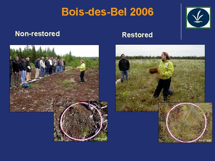 Bois-des-Bel 2006 Non-restored Restored GRET 2006 
