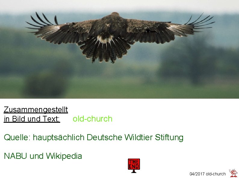 Zusammengestellt in Bild und Text: old-church Quelle: hauptsächlich Deutsche Wildtier Stiftung NABU und Wikipedia