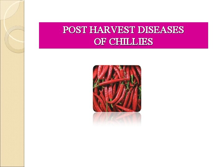 POST HARVEST DISEASES OF CHILLIES 