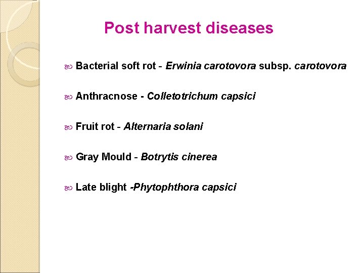 Post harvest diseases Bacterial soft rot - Erwinia carotovora subsp. carotovora Anthracnose - Colletotrichum