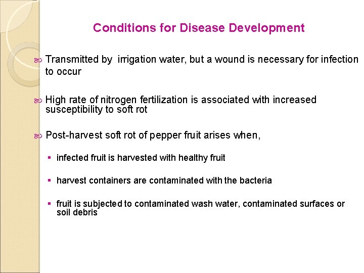 Conditions for Disease Development Transmitted by irrigation water, but a wound is necessary for