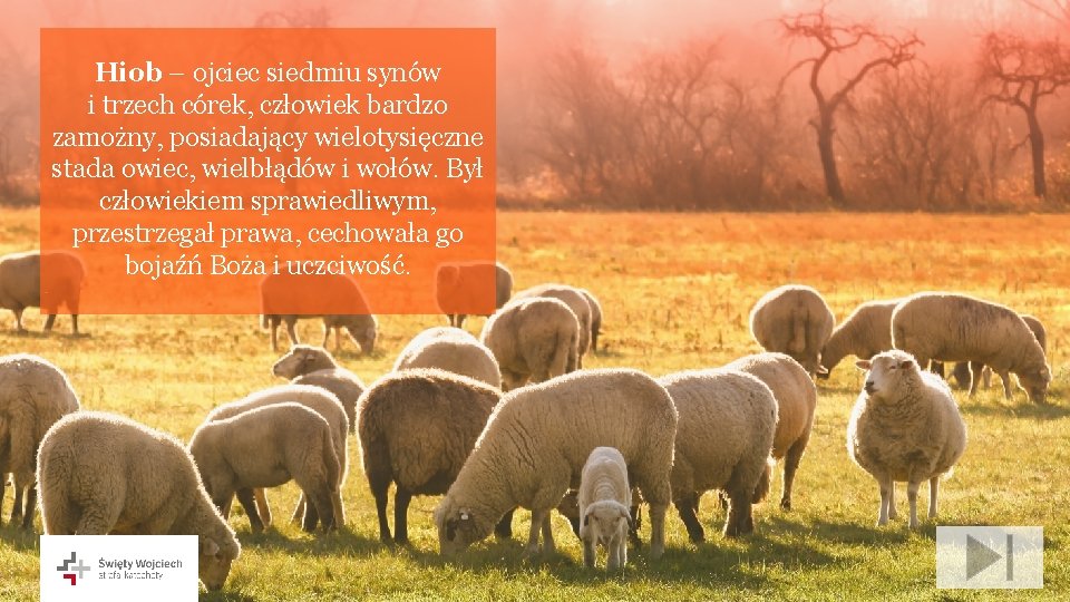 Hiob – ojciec siedmiu synów i trzech córek, człowiek bardzo zamożny, posiadający wielotysięczne stada Hiob – ojciec siedmiu synów i trzech córek, człowiek bardzo zamożny, posiadający wielotysięczne stada