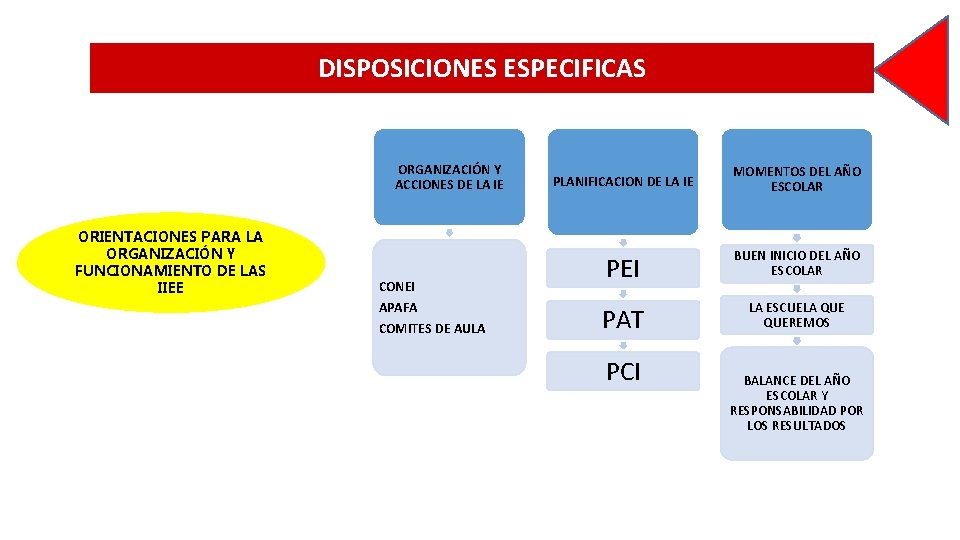 DISPOSICIONES ESPECIFICAS ORGANIZACIÓN Y ACCIONES DE LA IE ORIENTACIONES PARA LA ORGANIZACIÓN Y FUNCIONAMIENTO