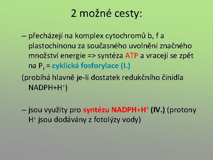 2 možné cesty: – přecházejí na komplex cytochromů b, f a plastochinonu za současného