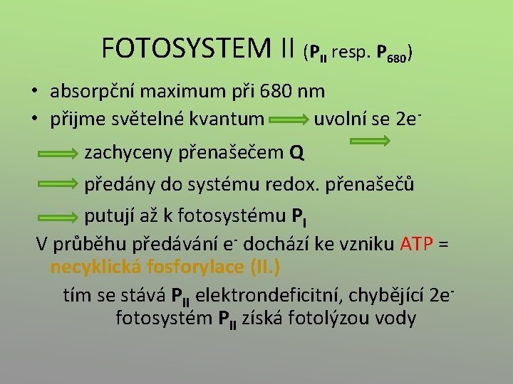 FOTOSYSTEM II (PII resp. P 680) • absorpční maximum při 680 nm • přijme