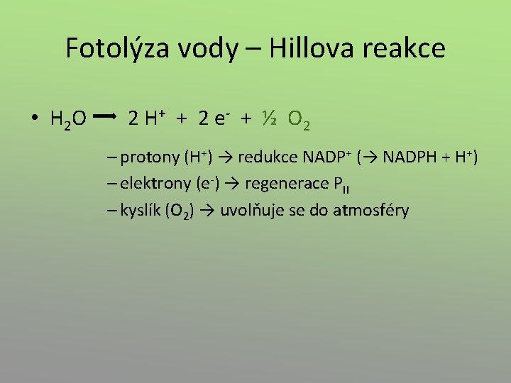 Fotolýza vody – Hillova reakce • H 2 O 2 H+ + 2 e-