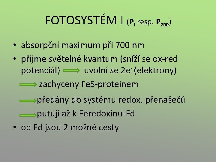 FOTOSYSTÉM I (PI resp. P 700) • absorpční maximum při 700 nm • přijme