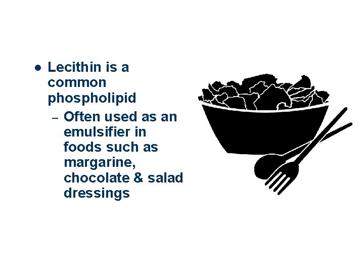 l Lecithin is a common phospholipid – Often used as an emulsifier in foods