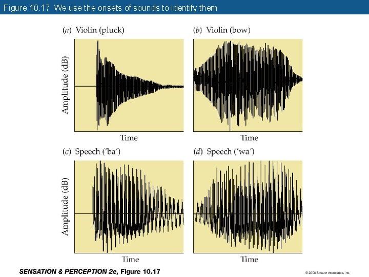 Figure 10. 17 We use the onsets of sounds to identify them 