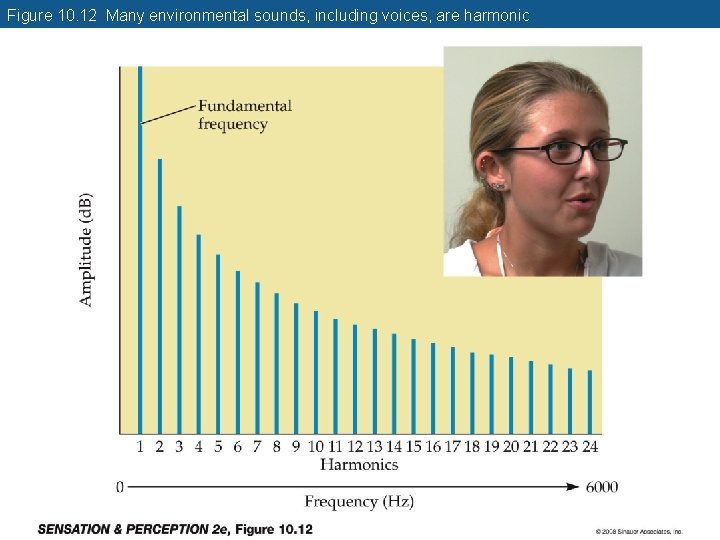 Figure 10. 12 Many environmental sounds, including voices, are harmonic 