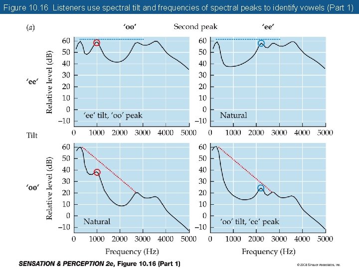 Figure 10. 16 Listeners use spectral tilt and frequencies of spectral peaks to identify