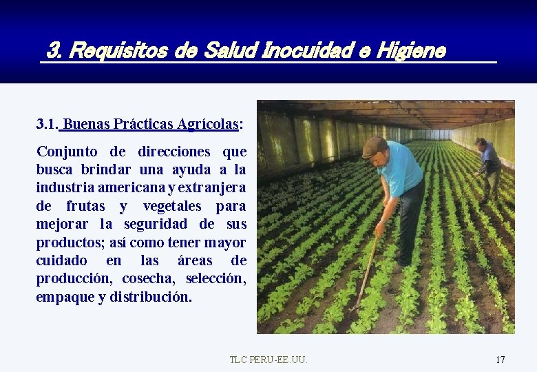 3. Requisitos de Salud Inocuidad e Higiene 3. 1. Buenas Prácticas Agrícolas: Conjunto de