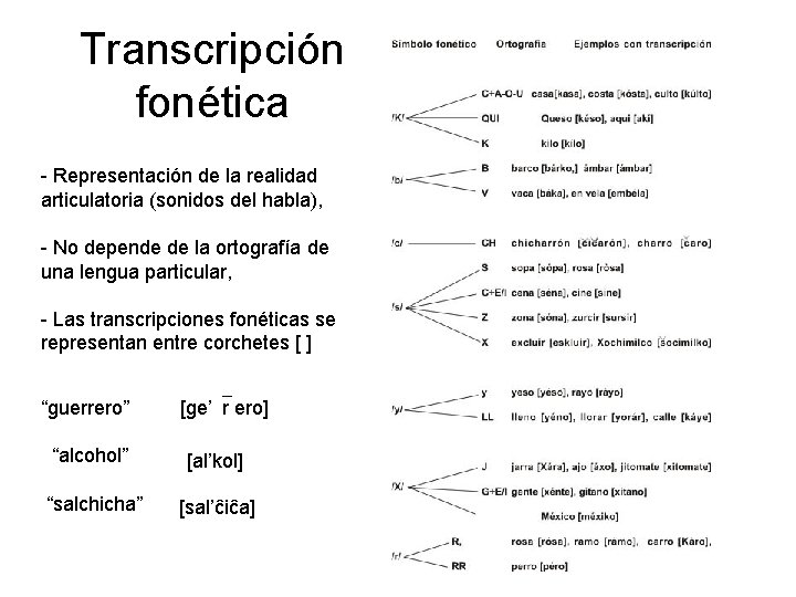 Transcripción fonética - Representación de la realidad articulatoria (sonidos del habla), - No depende